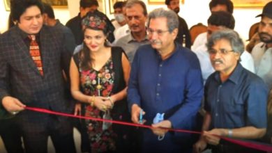 "The Balochistan Sphinx" opened at Alhamra Museum